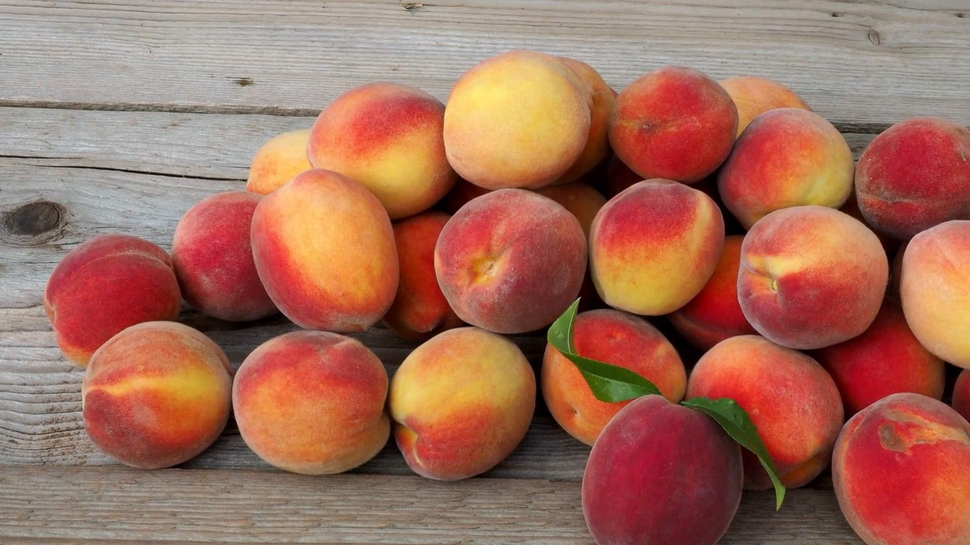 Selección de frutas de carozo