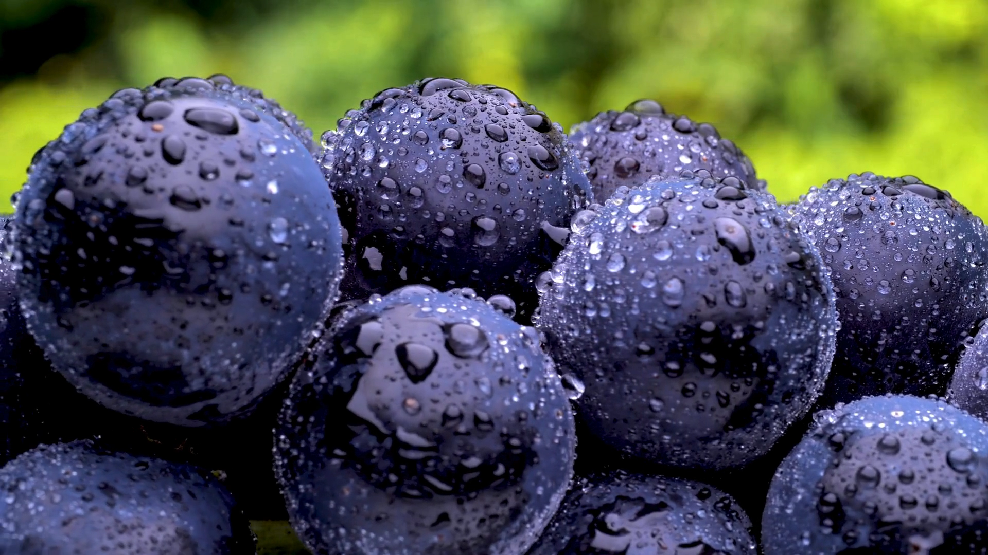 Uvas frescas de distintas variedades